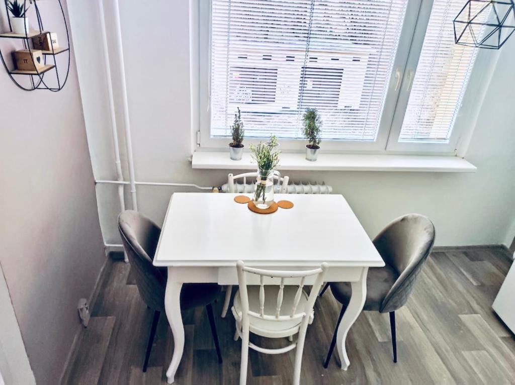 Apartman Domov Decin Buitenkant foto